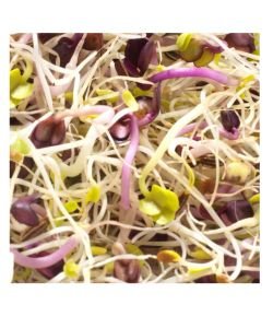 Seeds germinate - Alfa / Radish / Fennel BIO, 150 g